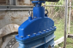 IMG_0995.HEIC